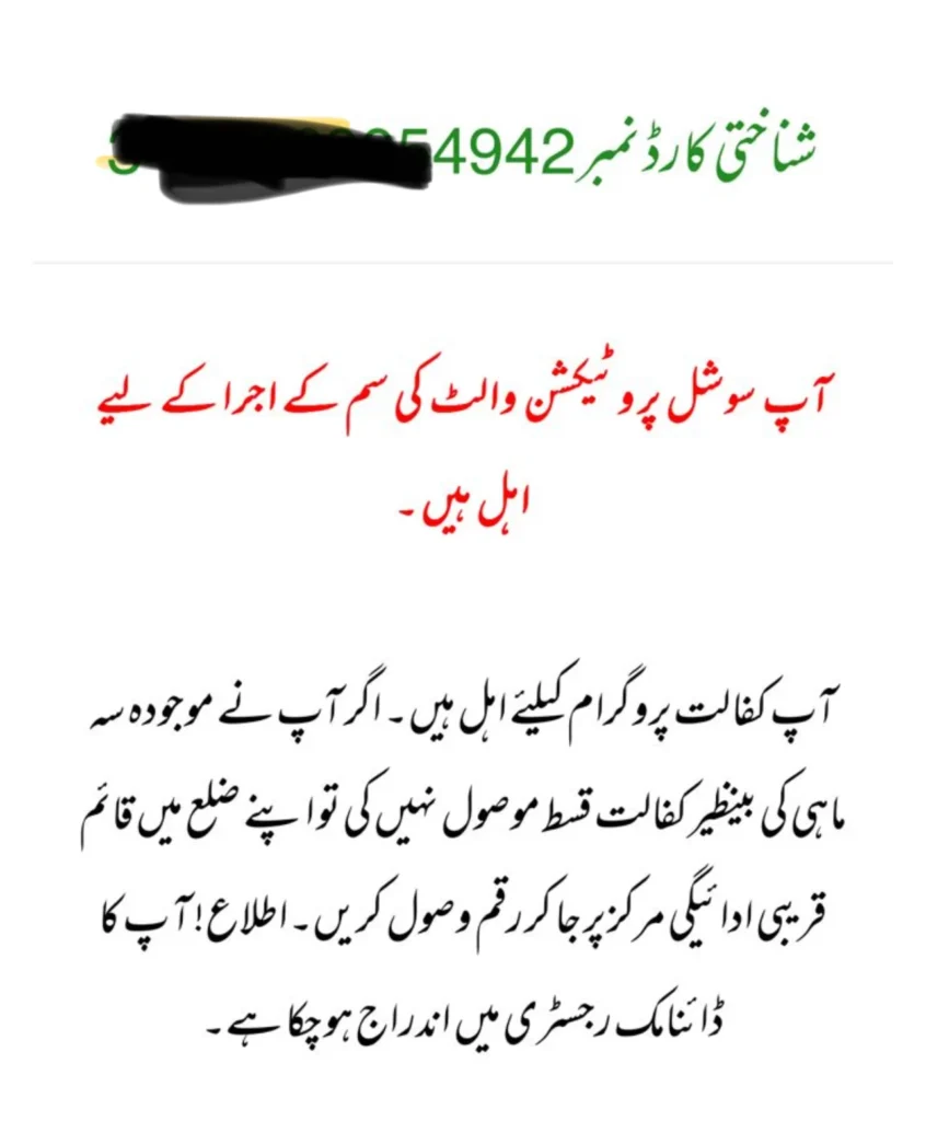 Social protection wallet status check on 8171 web portal via 8171.bisp.gov.pk